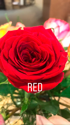 Florist «Classic Florist & Home Decor LLC», reviews and photos, 913 Hillcrest Pkwy, Dublin, GA 31021, USA