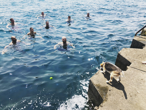 Gym «Chicago Primal Gym», reviews and photos, 1235 W Belmont Ave Unit B, Chicago, IL 60657, USA