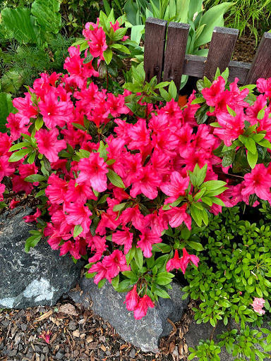 Park «McCollum Park», reviews and photos, 600 128th St SE, Everett, WA 98208, USA