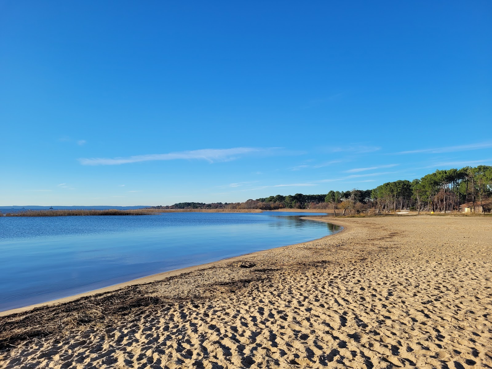 Plage Parentis en Born'in fotoğrafı - rahatlamayı sevenler arasında popüler bir yer
