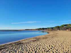 Plage Parentis en Born'in fotoğrafı - rahatlamayı sevenler arasında popüler bir yer