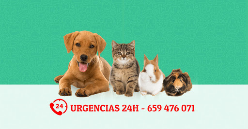 Hospitales y veterinarios de urgencia en Alcalá de Guadaíra de 2024