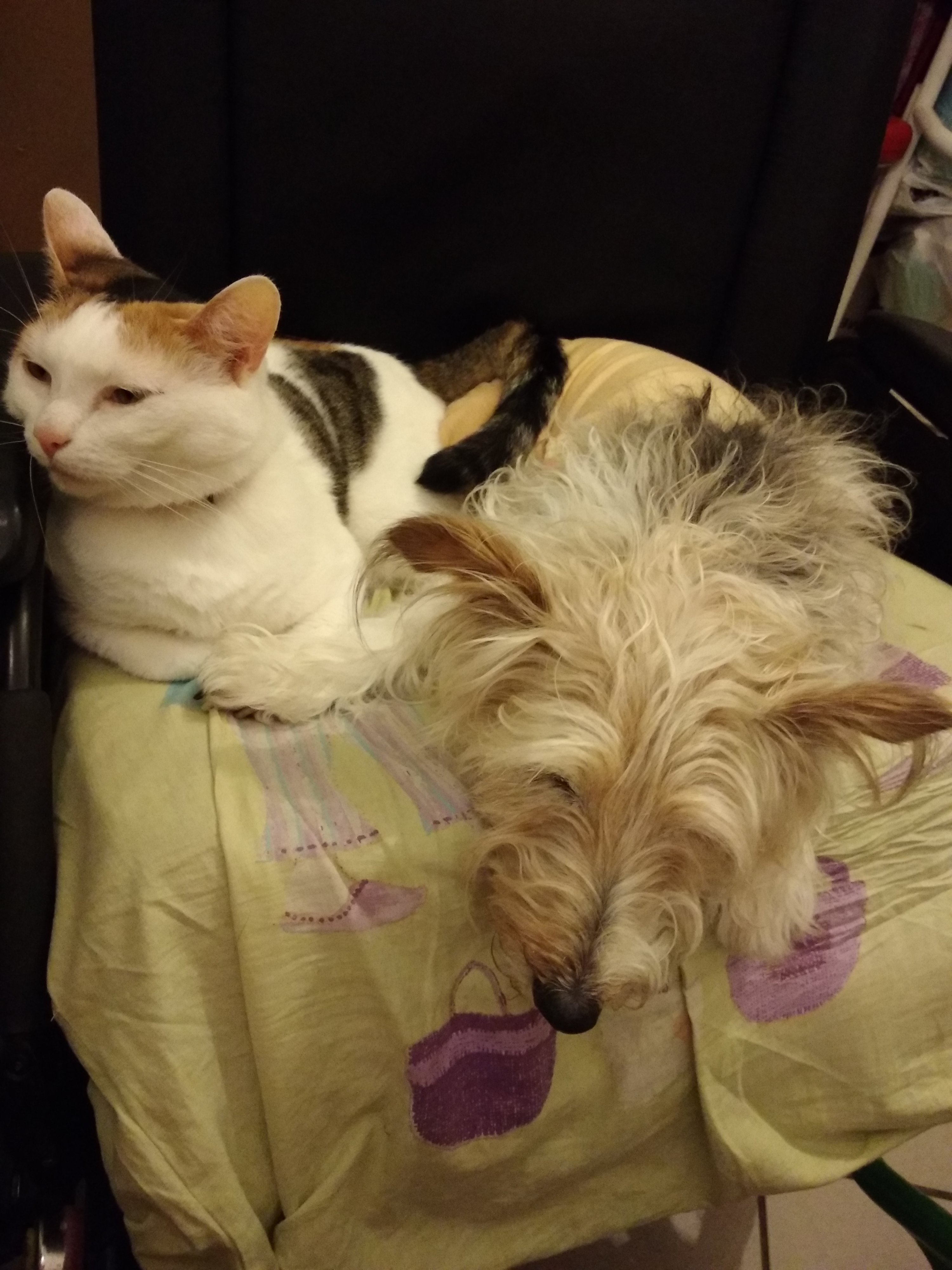 Photo n° 14 de l'avis de Marie-claude.l fait le 03/03/2017 à 14:46