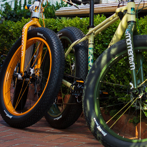 Bicycle Store «Bikeways», reviews and photos, 12067 Indian Rocks Rd, Largo, FL 33774, USA