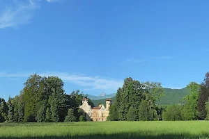 Castello di Miradolo image
