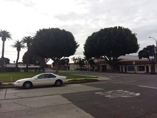 Thrift Store «Alpha Thrift Store», reviews and photos, 700 N Milpas St, Santa Barbara, CA 93103, USA