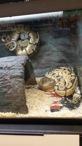 Pet Supply Store «Petco Animal Supplies», reviews and photos, 921 Harley Strickland Blvd, Orange City, FL 32763, USA