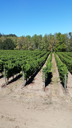 Vineyard «Cristom Vineyards», reviews and photos, 6905 Spring Valley Rd NW, Salem, OR 97304, USA