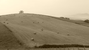 Photo n°18 de Jango - Boulangerie, Epicerie, Bar à Ostabat-Asme ()