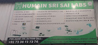 Humain Sri Sai Labs