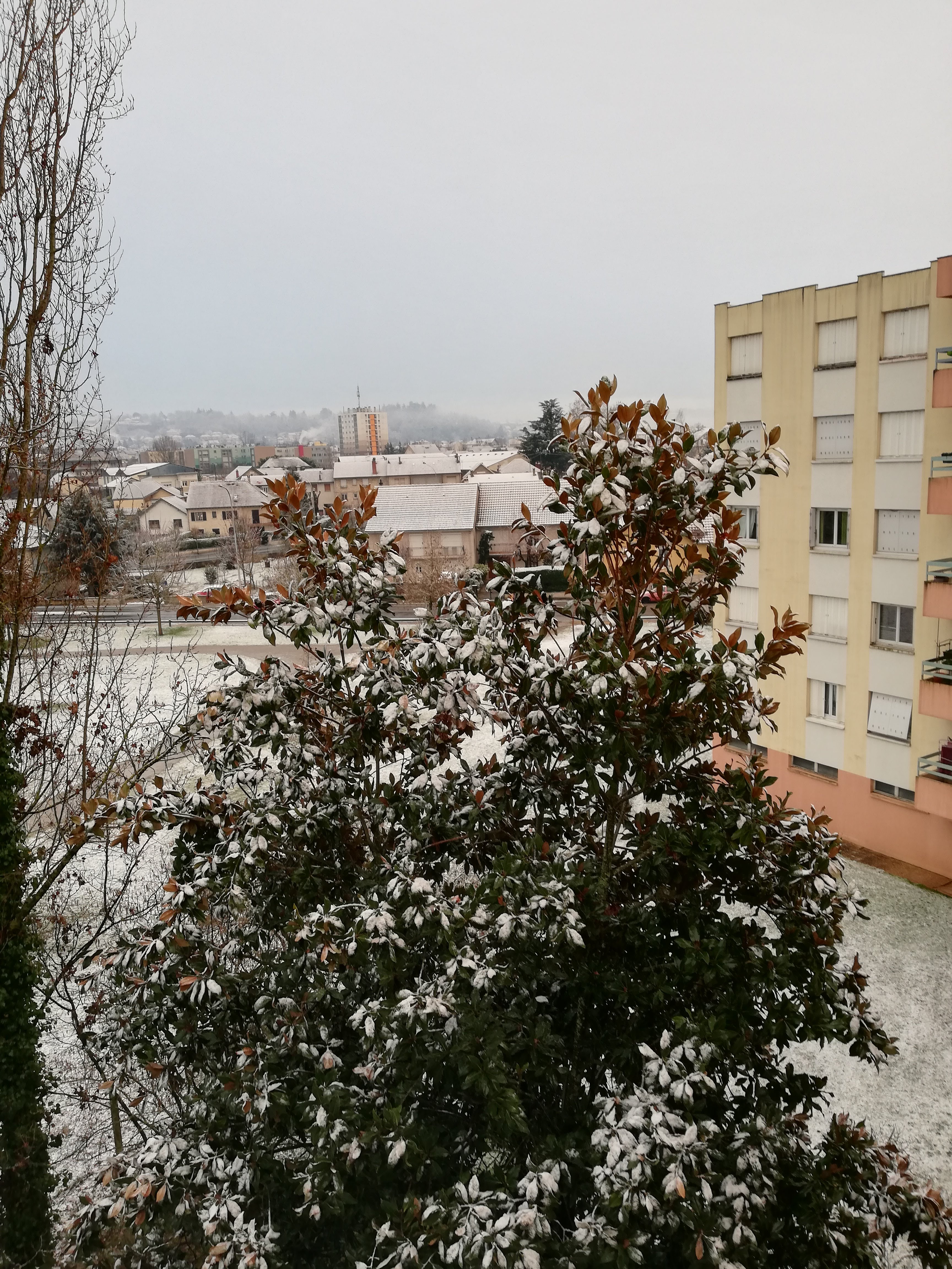 Photo n° 1 de l'avis de monique.a fait le 30/01/2019 à 07:52