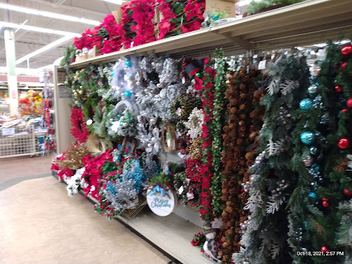 Home Goods Store «Christmas Tree Shops», reviews and photos, 46 Springer Dr, Bangor, ME 04401, USA