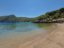 Sterna beach'in fotoğrafı vahşi alan