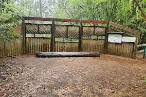 Yungaburra Platypus Viewing Platform image