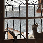 Photo n°2 de l'avis de Simo.e fait le 30/01/2023 à 01:23 sur le  Ristorante Vecchio Mulino à San Giovanni di Fassa