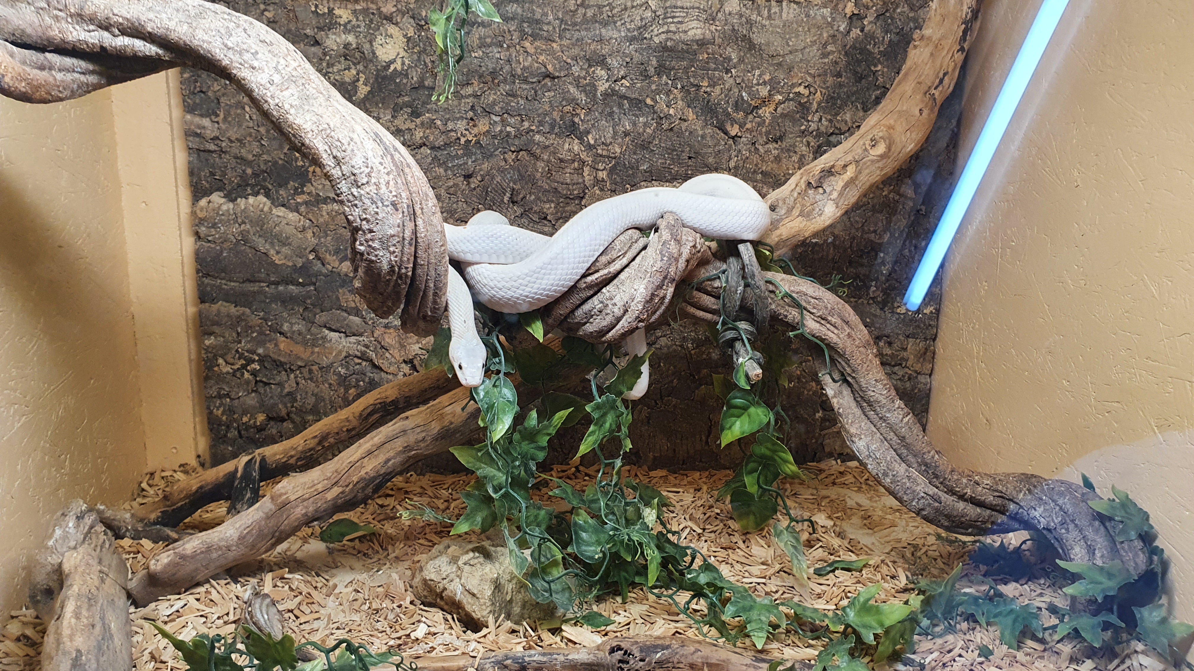 Photo n° 2 de l'avis de Anne.o fait le 27/07/2021 à 15:24