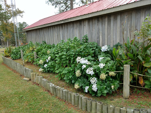 Vineyard «Lu Mil Vineyard», reviews and photos, 438 Suggs-Taylor Rd, Elizabethtown, NC 28337, USA