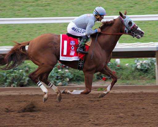 Fairground «Del Mar Fairgrounds», reviews and photos, 2260 Jimmy Durante Blvd, Del Mar, CA 92014, USA