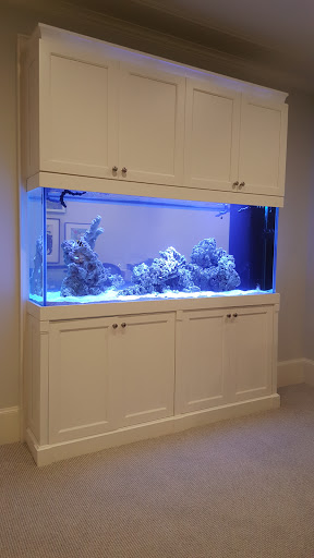 Pet Store «Sho Tank Aquariums», reviews and photos, 433 N Lake St, Mundelein, IL 60060, USA