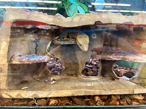 Pet Supply Store «Petco Animal Supplies», reviews and photos, 17930 Halsted St, Homewood, IL 60430, USA