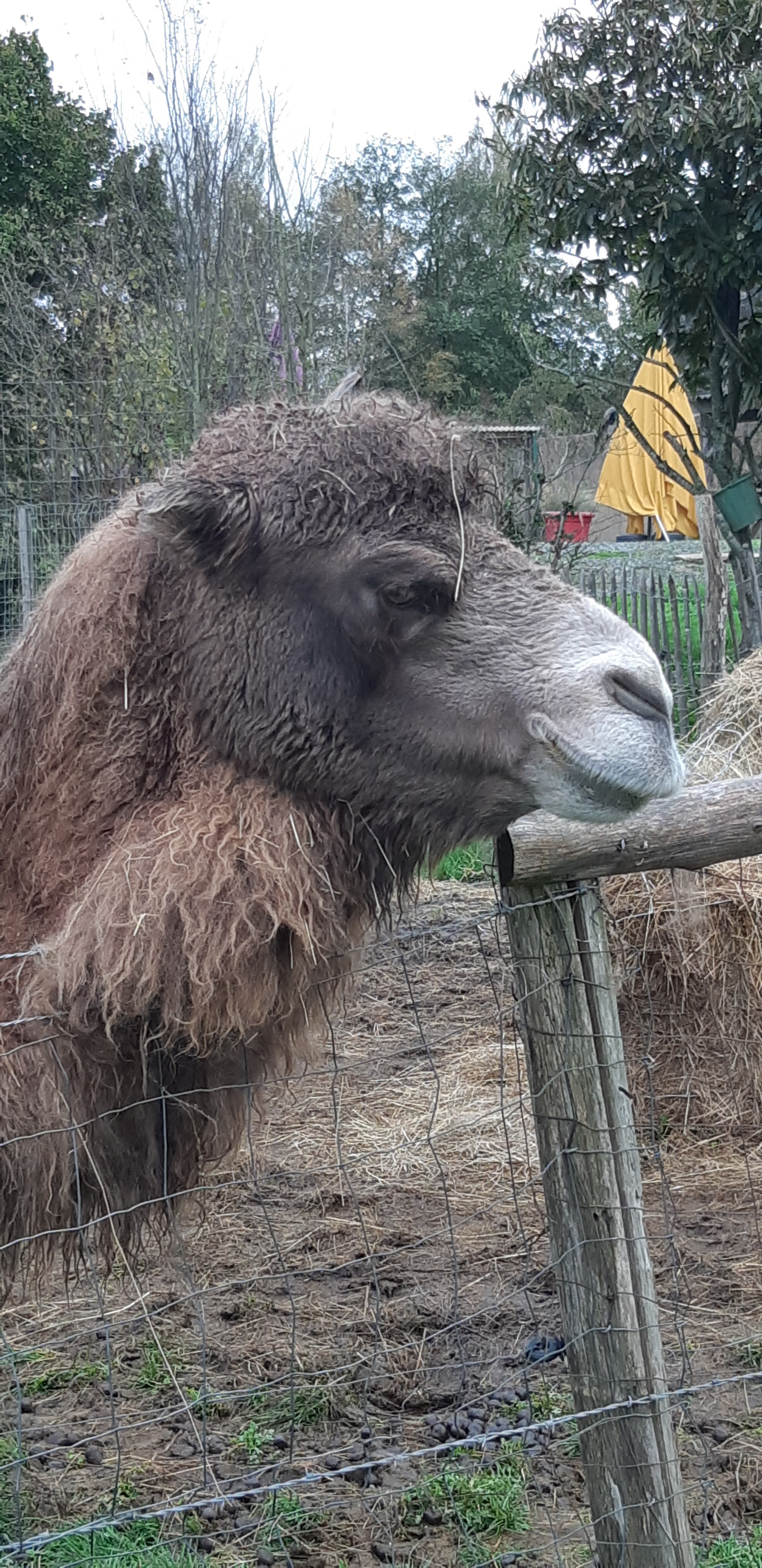 Photo n° 34 de l'avis de Yannick.a fait le 27/10/2019 à 14:17