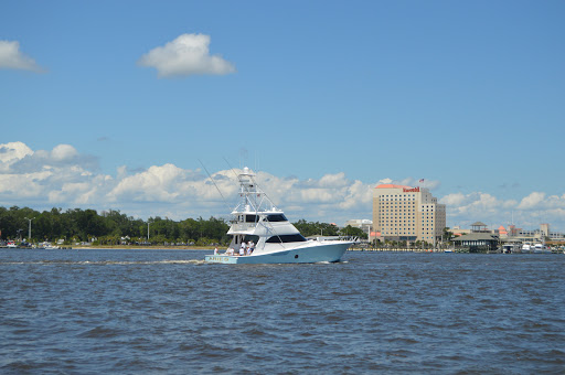 Parasailing Ride Service «Parasail Adventures», reviews and photos, 119 Beach Blvd, Biloxi, MS 39530, USA