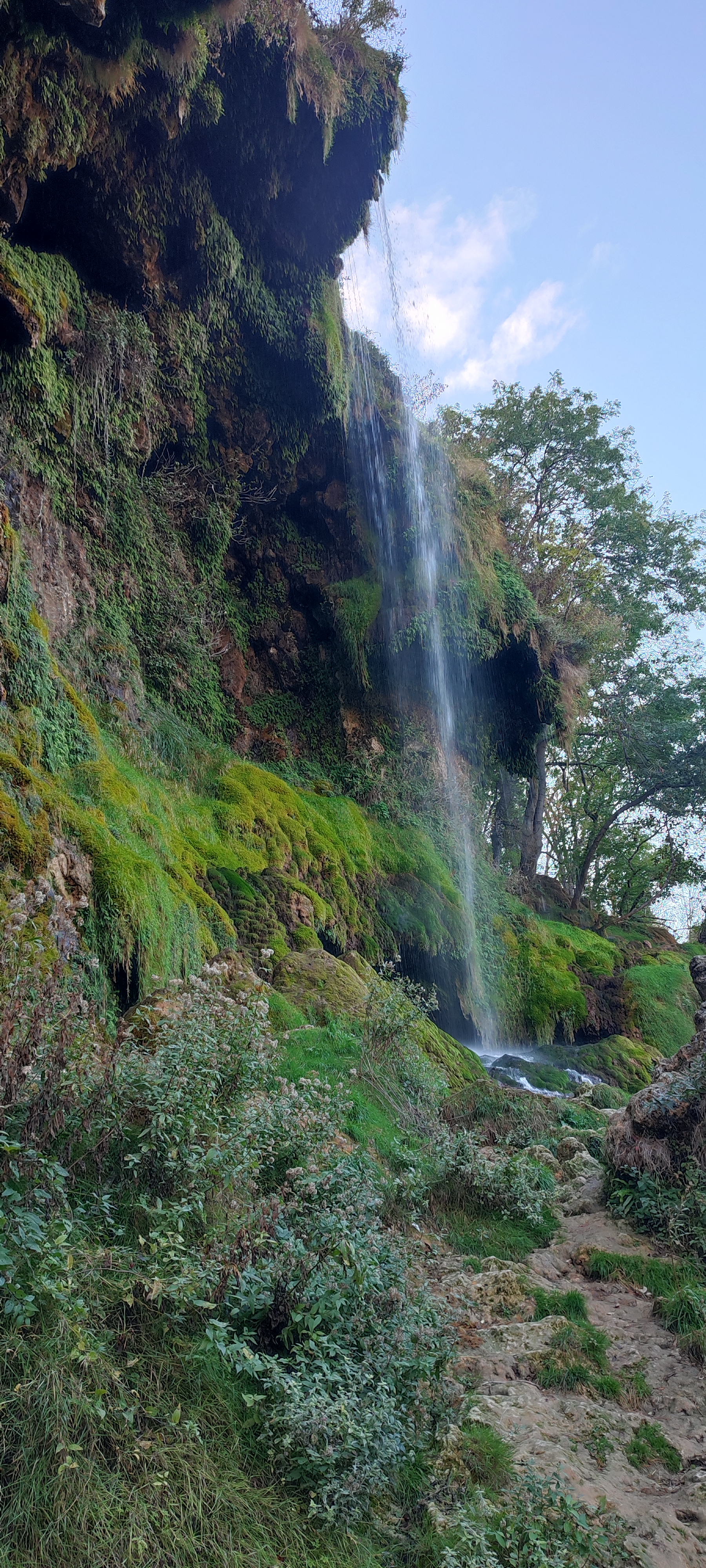 Photo n° 1 de l'avis de B. fait le 21/10/2023 à 19:42