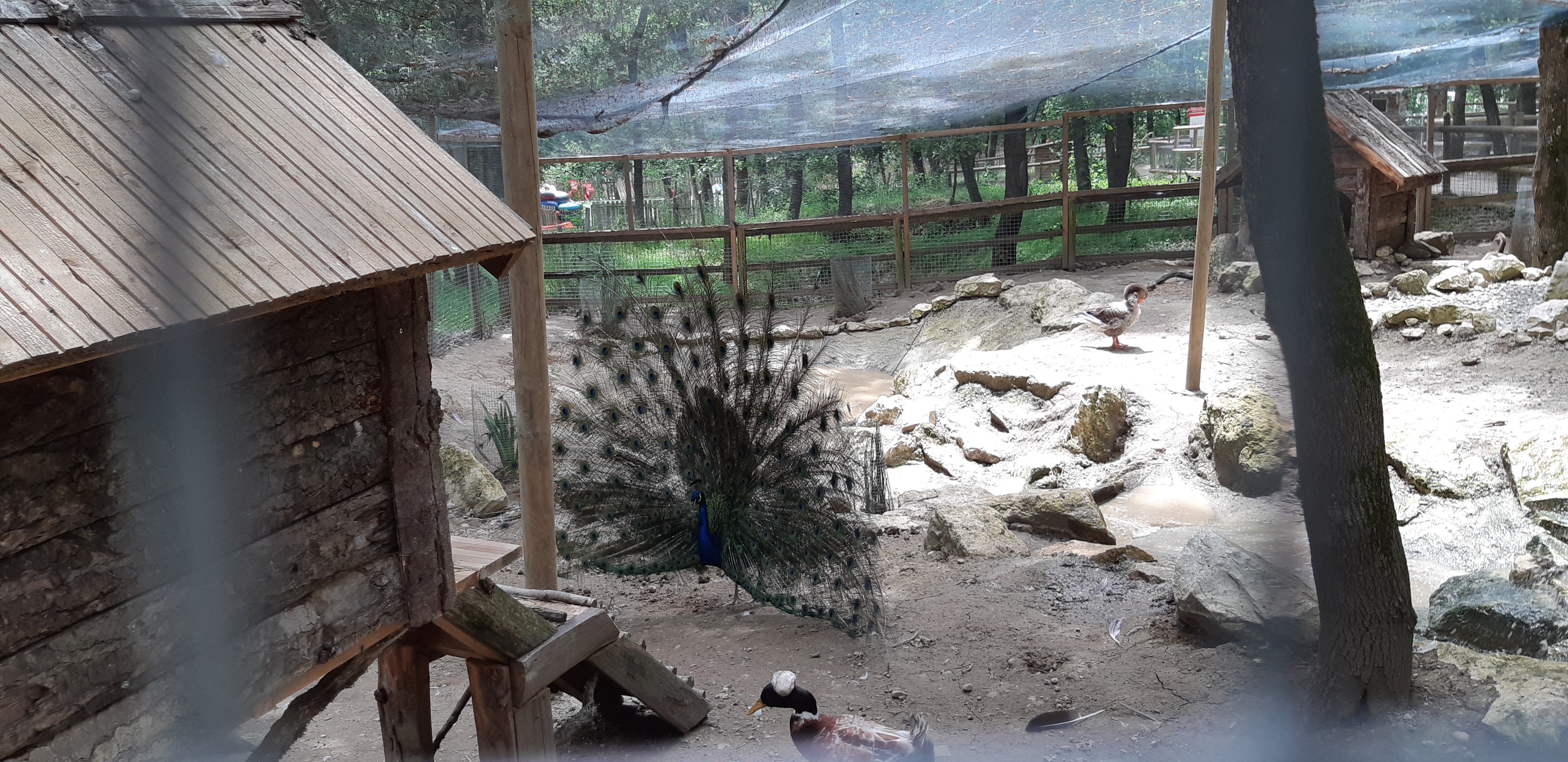 Photo n° 2 de l'avis de Filo.� fait le 04/07/2018 à 15:11
