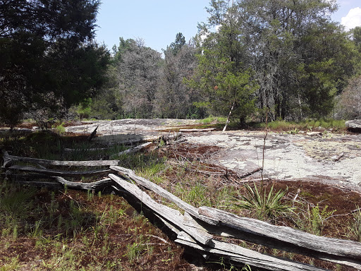 Wildlife Park «Charlie Elliott Wildlife Center», reviews and photos, 543 Elliott Trail, Mansfield, GA 30055, USA