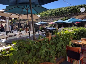 Big Dog Vineyards - photo 73