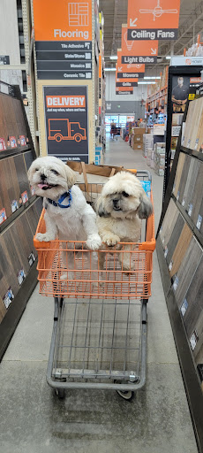 Home Improvement Store «The Home Depot», reviews and photos, 870 Woodstock Rd, Roswell, GA 30075, USA