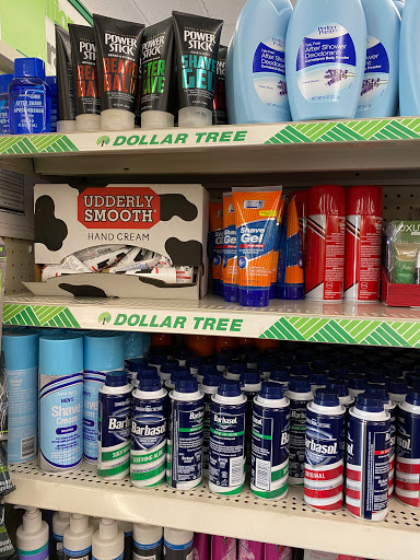 Dollar Store «Dollar Tree», reviews and photos, 2550 Race Track Rd a, St Johns, FL 32259, USA