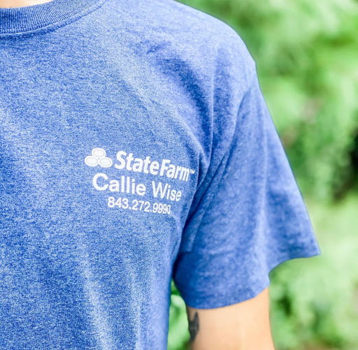 Insurance Agency «Callie Wise - State Farm Insurance Agent», reviews and photos