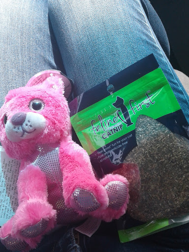 Discount Store «Dollar General», reviews and photos, 14486 LA-431, St Amant, LA 70774, USA