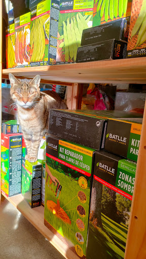 Piensos 'Centeno' en Arenas de San Pedro, Ávila‎