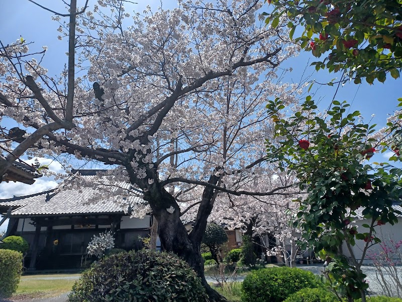 真楽寺