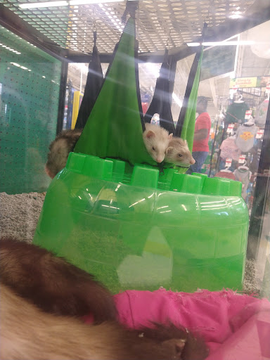 Pet Supply Store «Pet Supplies Plus», reviews and photos, 30450 Lakeshore Blvd, Willowick, OH 44095, USA