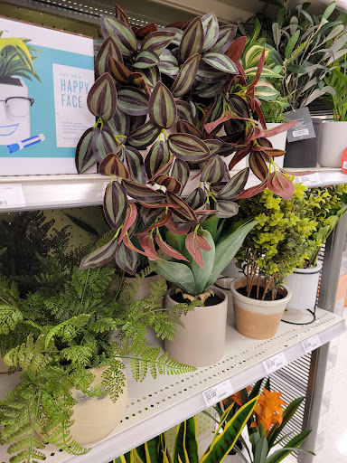 Department Store «Target», reviews and photos, 2255 14th Ave SE, Albany, OR 97322, USA