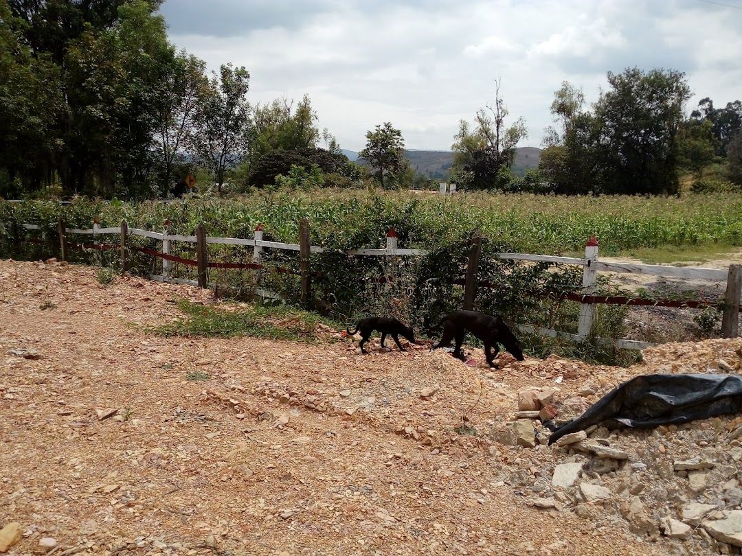 Restaurante La Casa De DINO