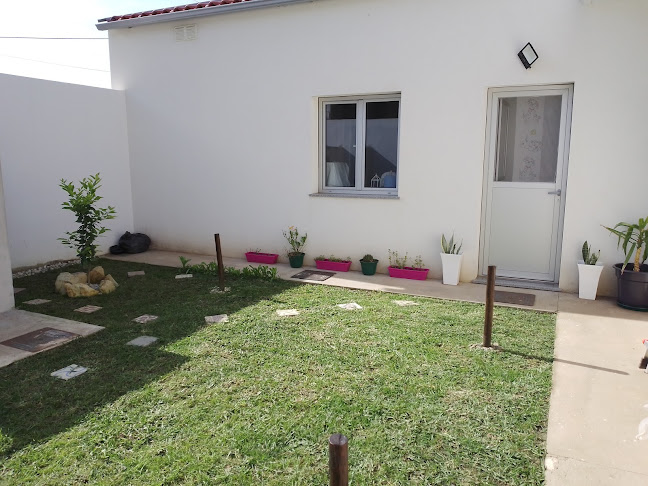 Requinte Selvagem, CLÍNICA VETERINÁRIA - Veterinário