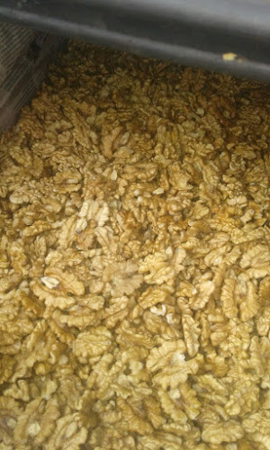 FRUTSECS CHILE - Frutería