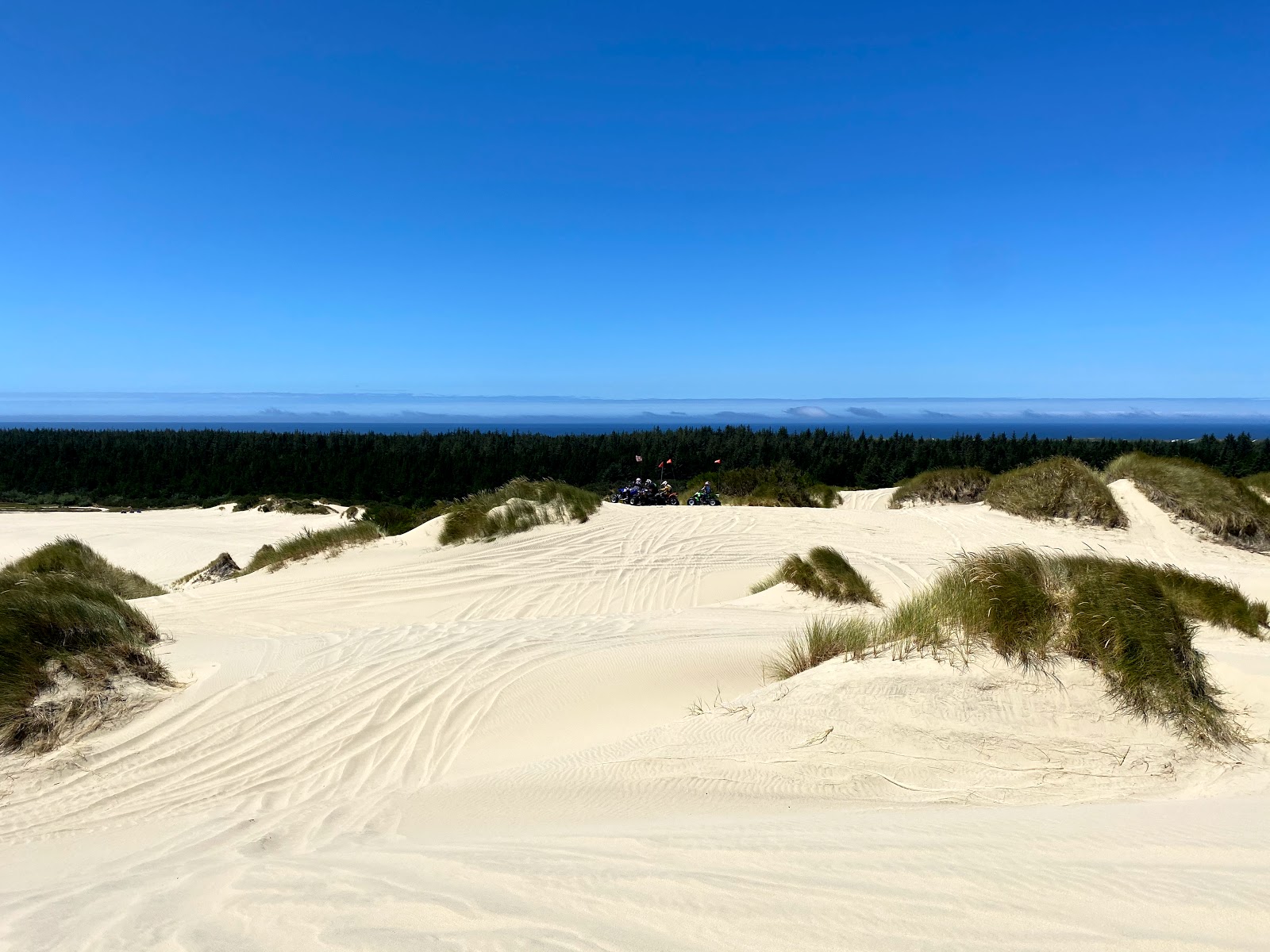 Foto von South Jetty Beach annehmlichkeitenbereich