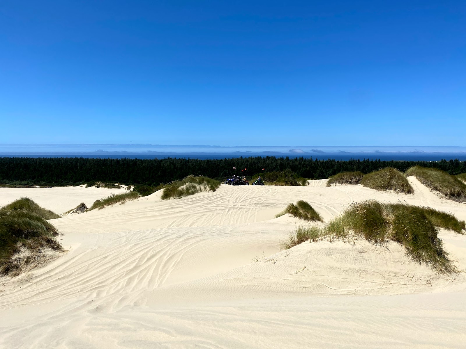 Valokuva South Jetty Beachista. puhtaustasolla korkea