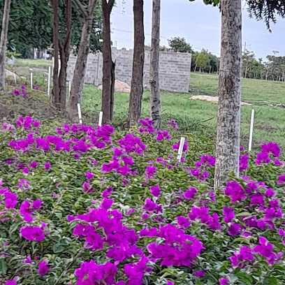 Parque Del Acueducto Villa Olimpica