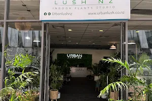 Urban Lush NZ - Indoor Plants Specialists (Lynn Mall) image