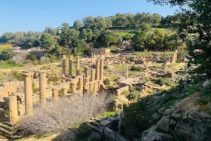 Cyrene Museum image