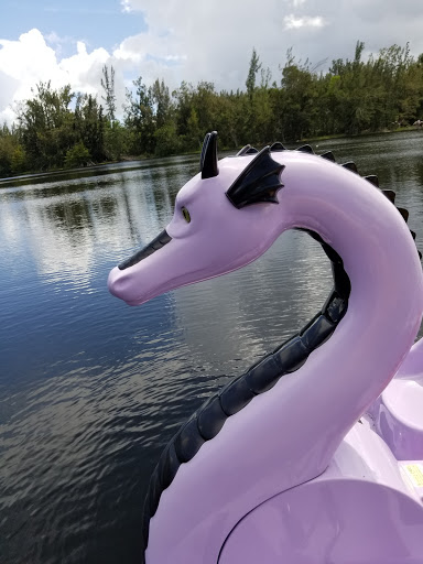 Park «Tree Tops Park», reviews and photos, 3900 SW 100th Ave, Davie, FL 33328, USA