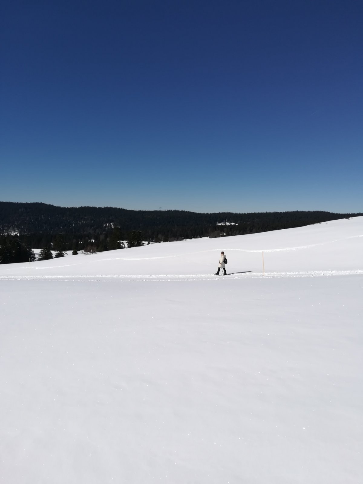 Photo n° 8 de l'avis de paisajes,.i fait le 08/03/2020 à 23:01