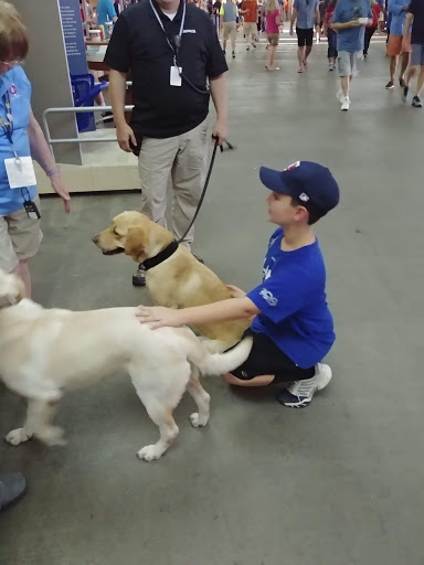 Stadium «Target Field», reviews and photos, 1 Twins Way, Minneapolis, MN 55403, USA