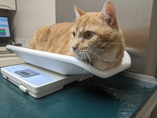 479 Marble Ave, Pleasantville, NY 10570, USA